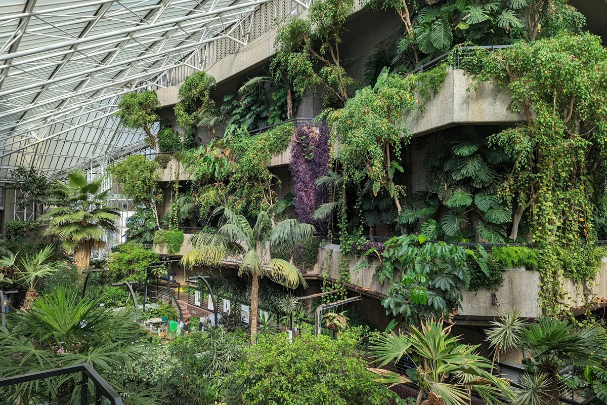 Barbican Conservatory