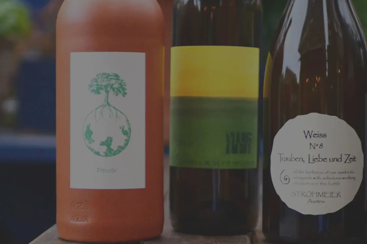 Newcomer Wines