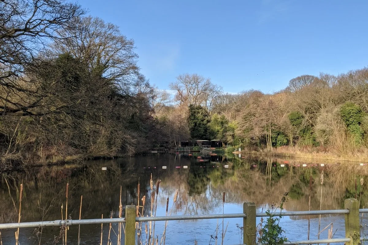 Hampstead Heath Bathing Ponds