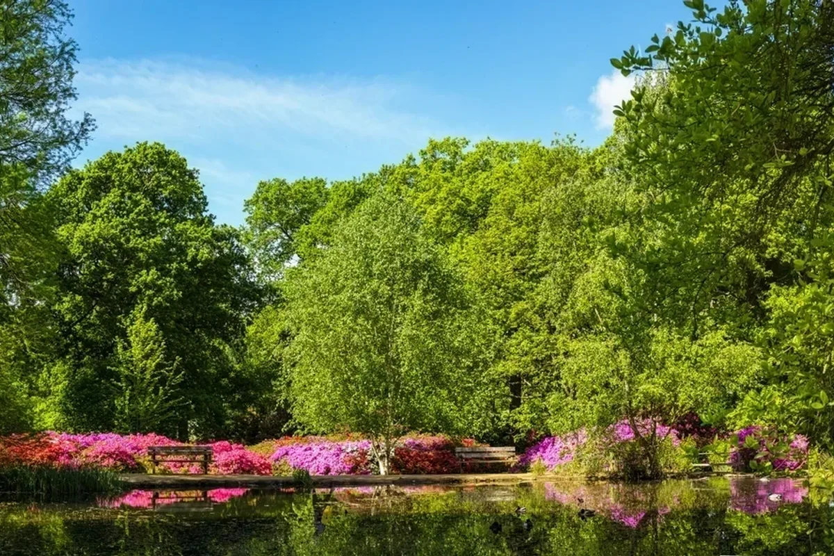 Isabella Plantation