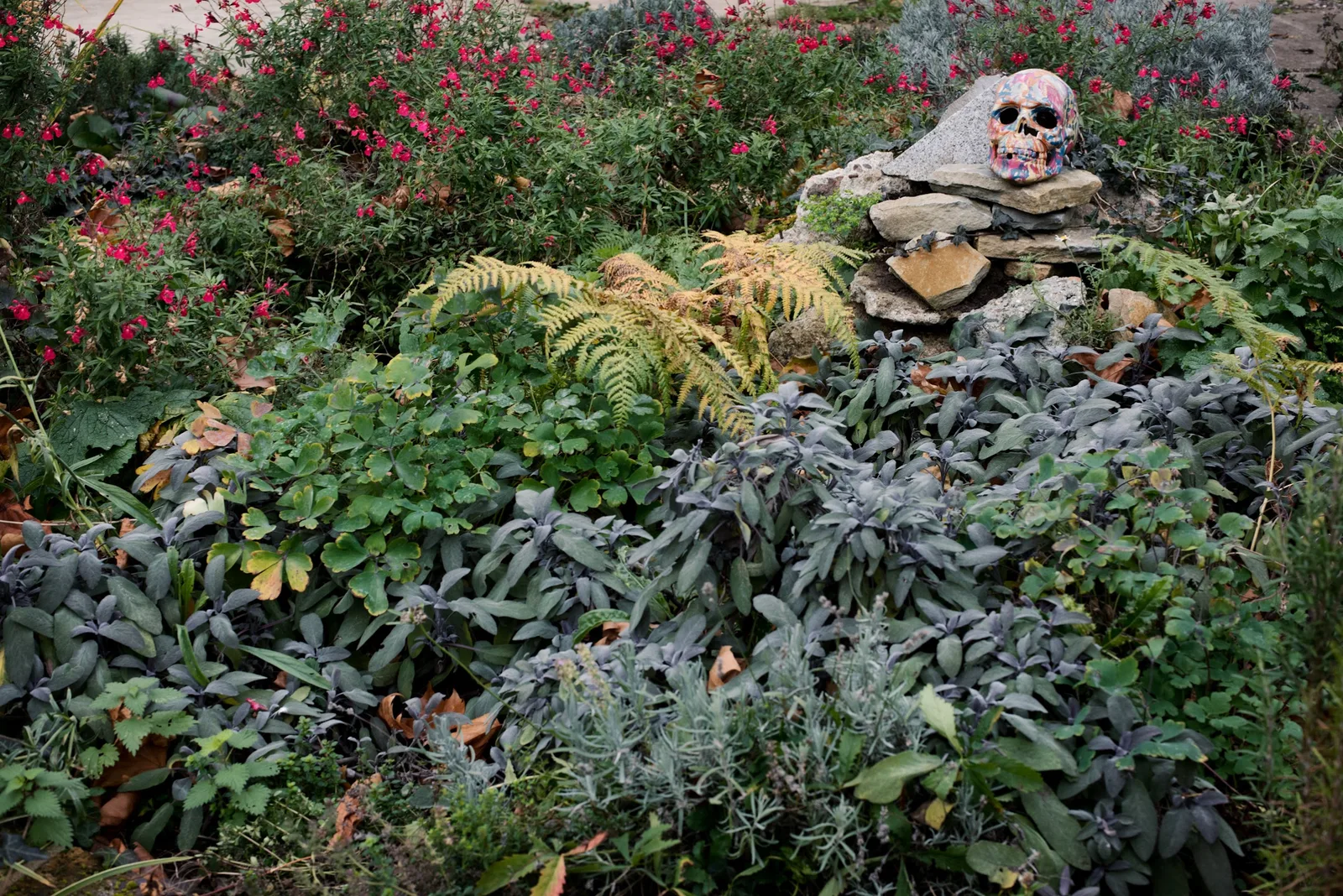 Crossbones Garden