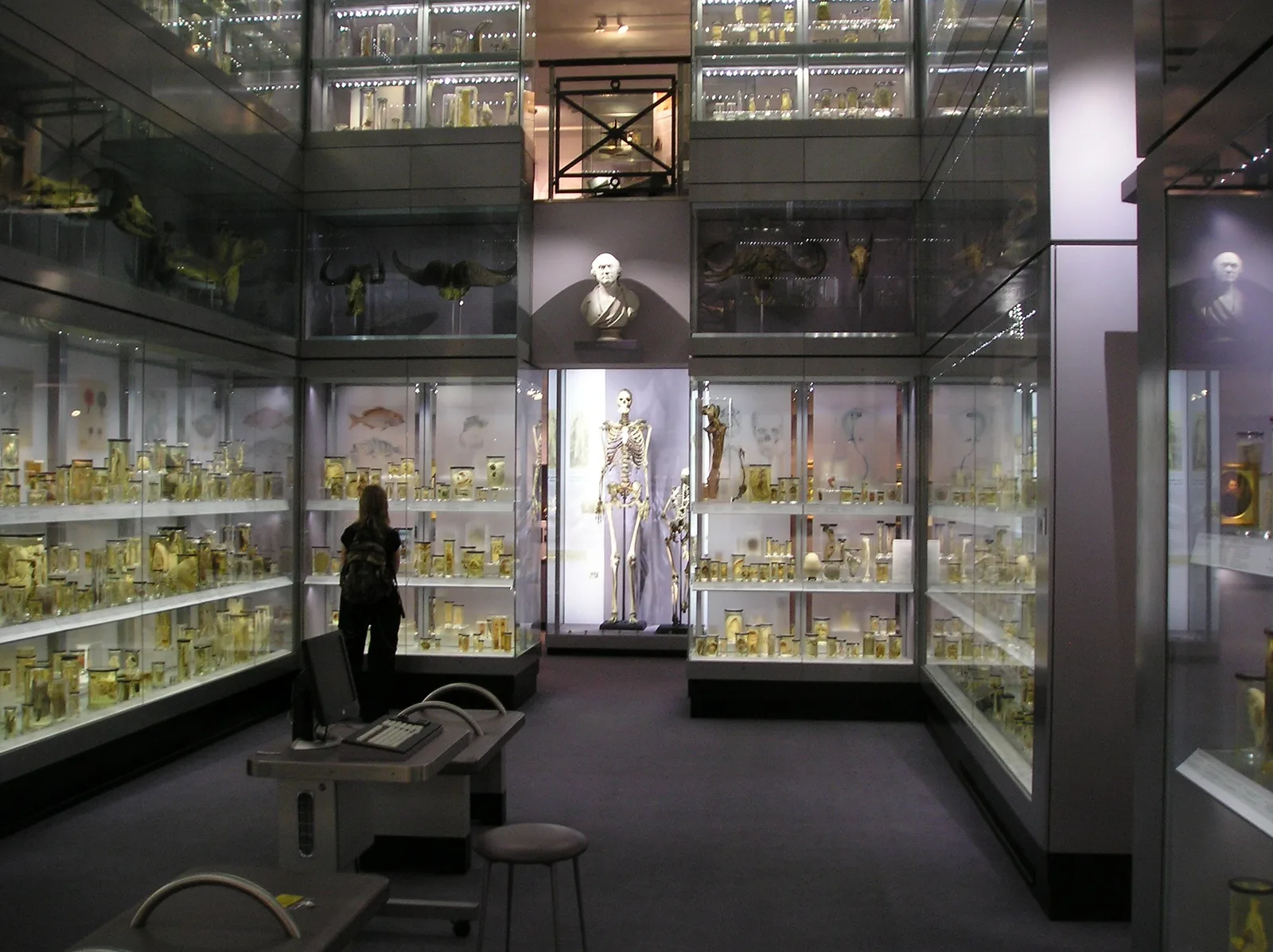 The Hunterian Museum
